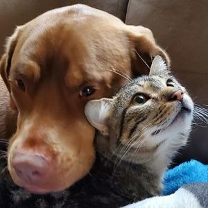 Meet your Posher, Gracie